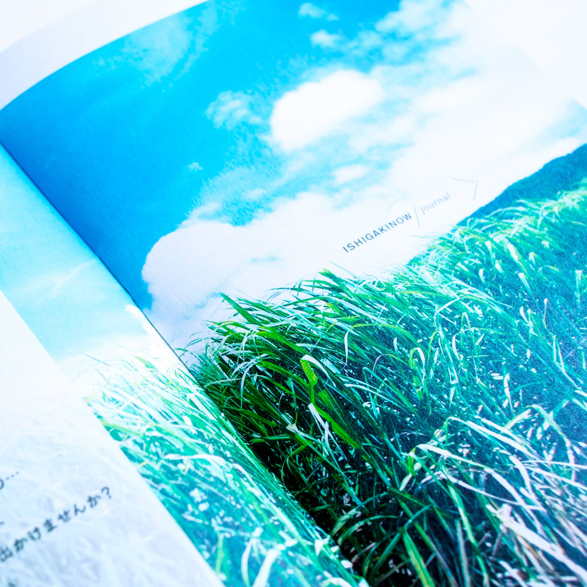 八重山諸島のデザイン