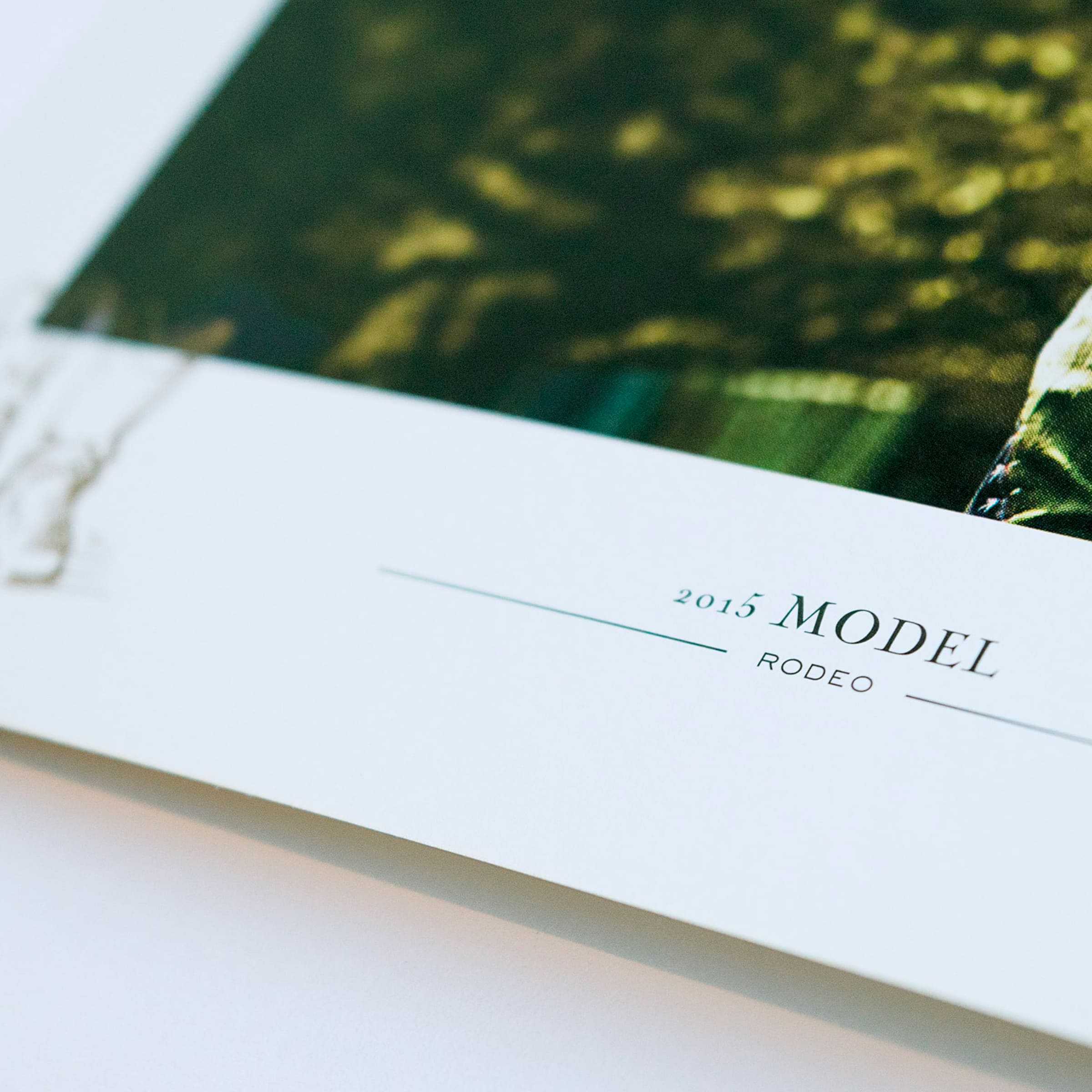 ランドセルのカタログデザイン