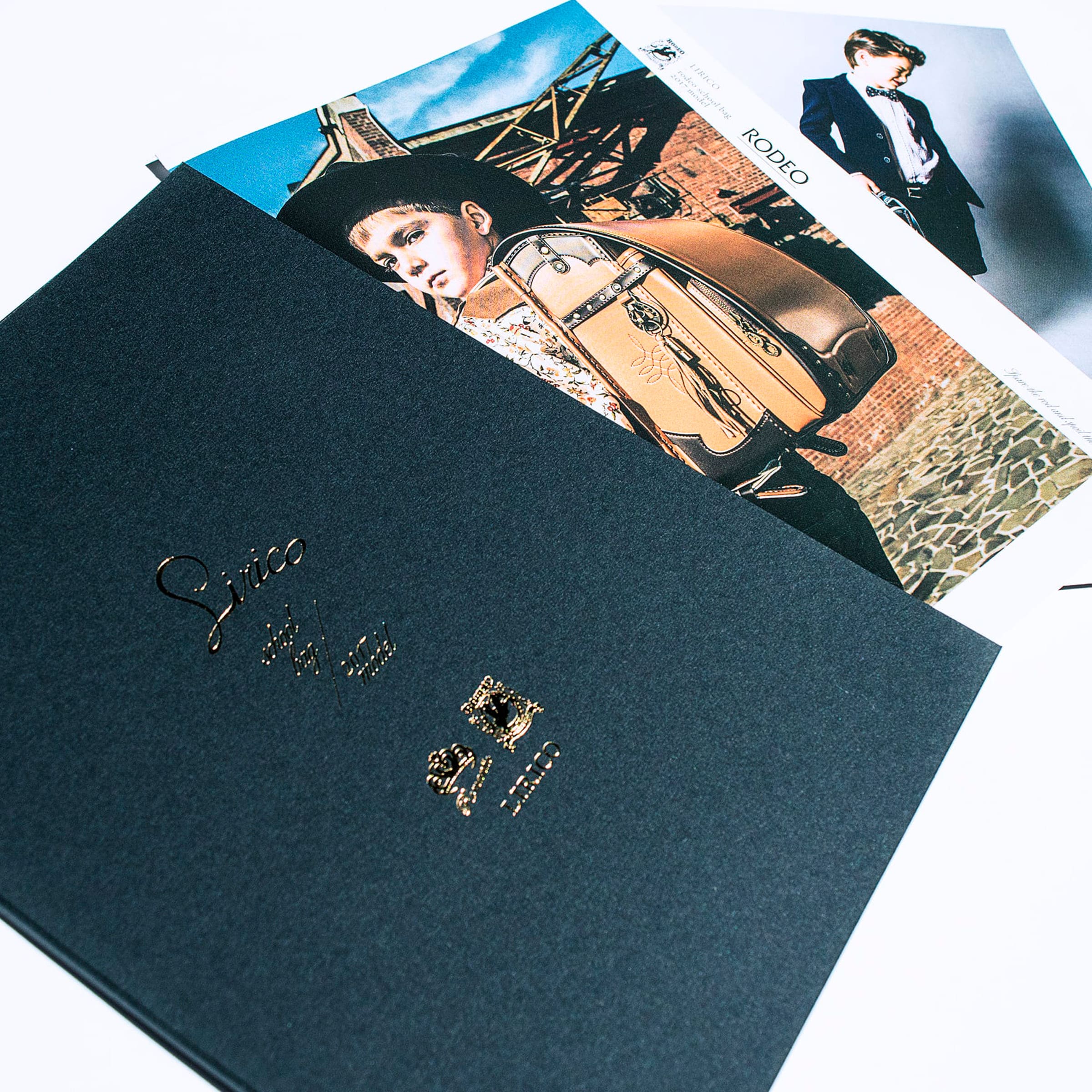 リリコ ロデオ 2017 カタログ, irico 2017 catalog