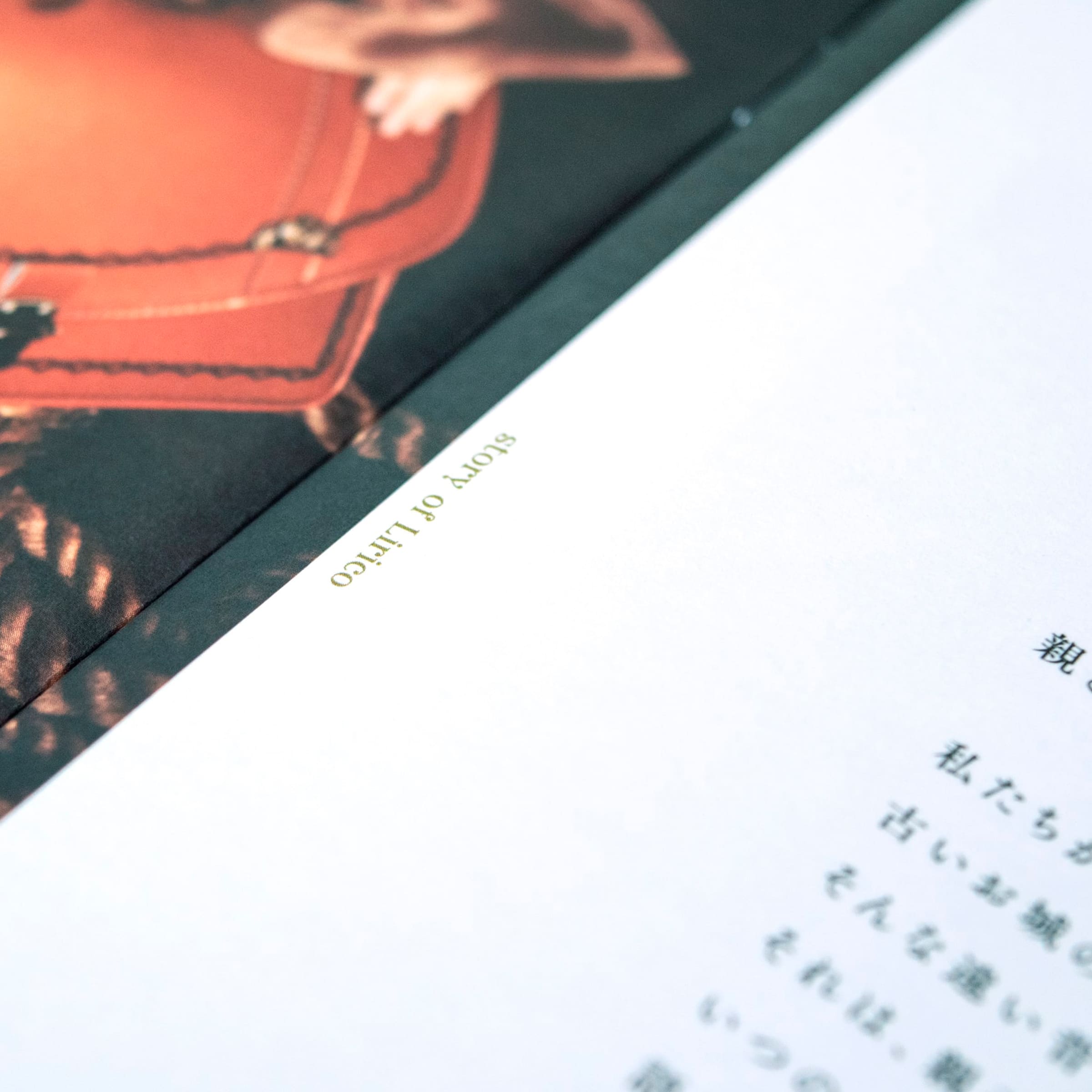 ランドセルリーフレット, 大阪のデザイン会社