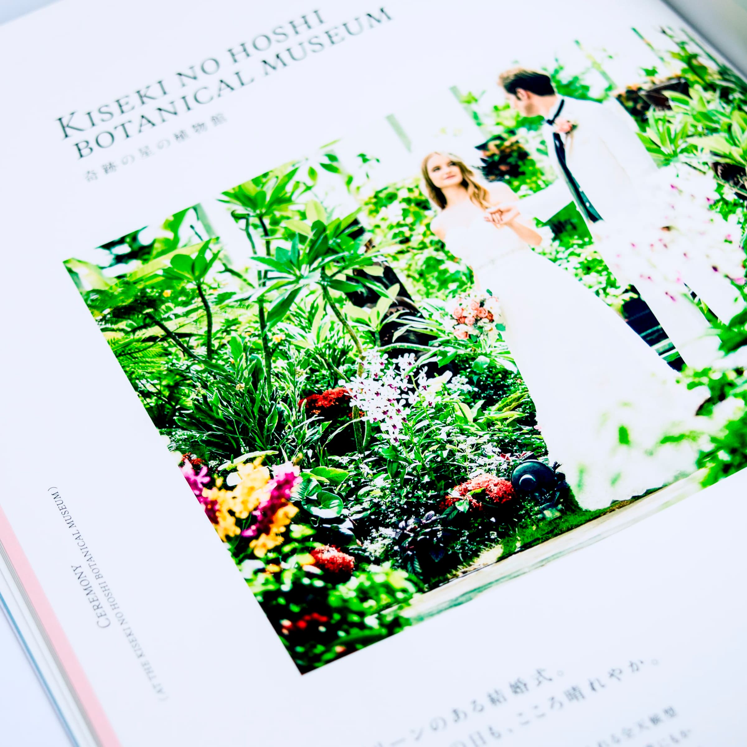 カタログのデザイン, 大阪のデザイン会社