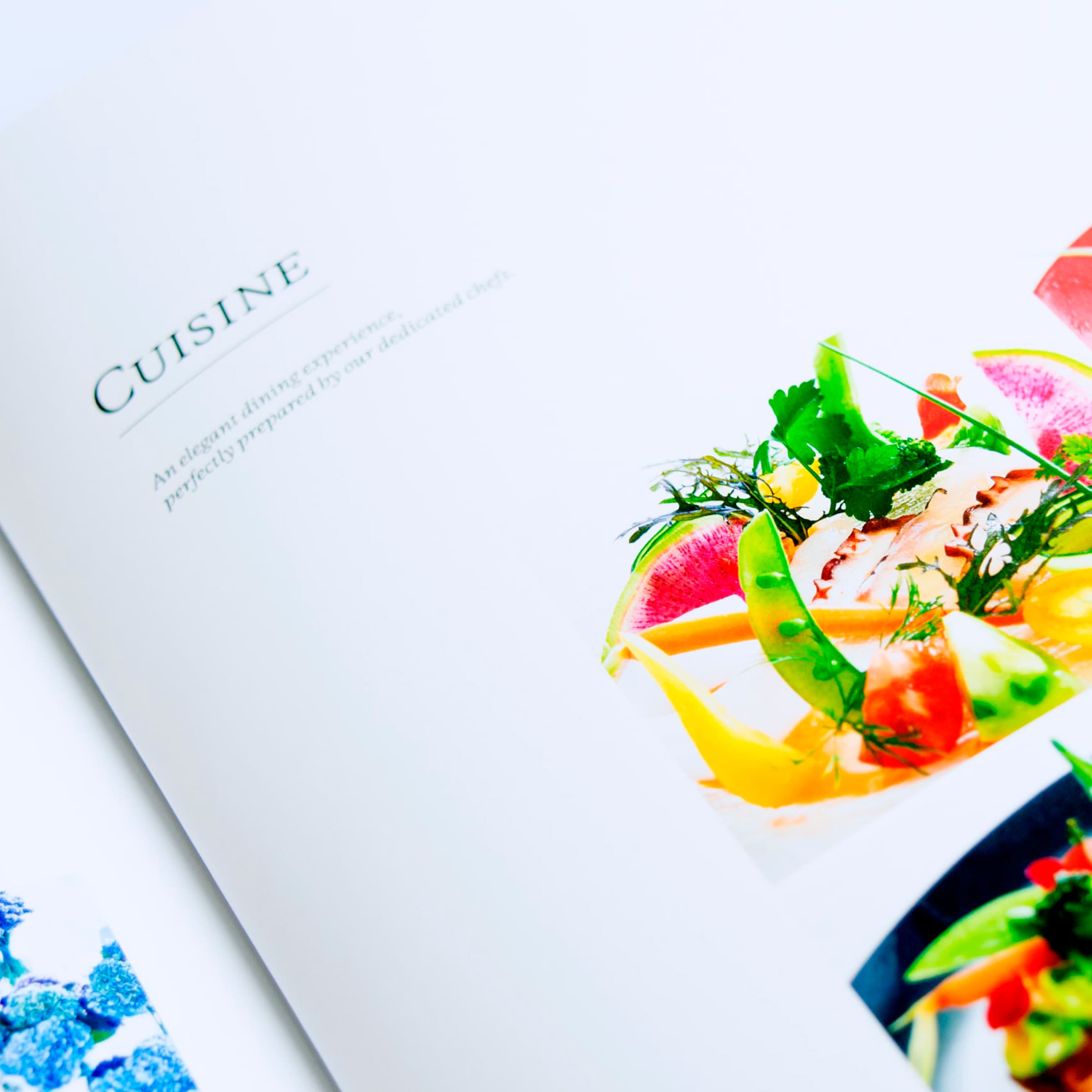 パンフレットのデザイン, 大阪のデザイン事務所