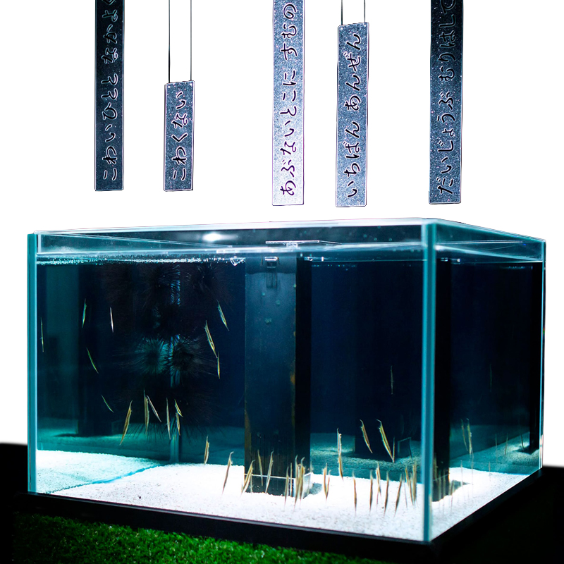 海遊館のグラフィックデザイン