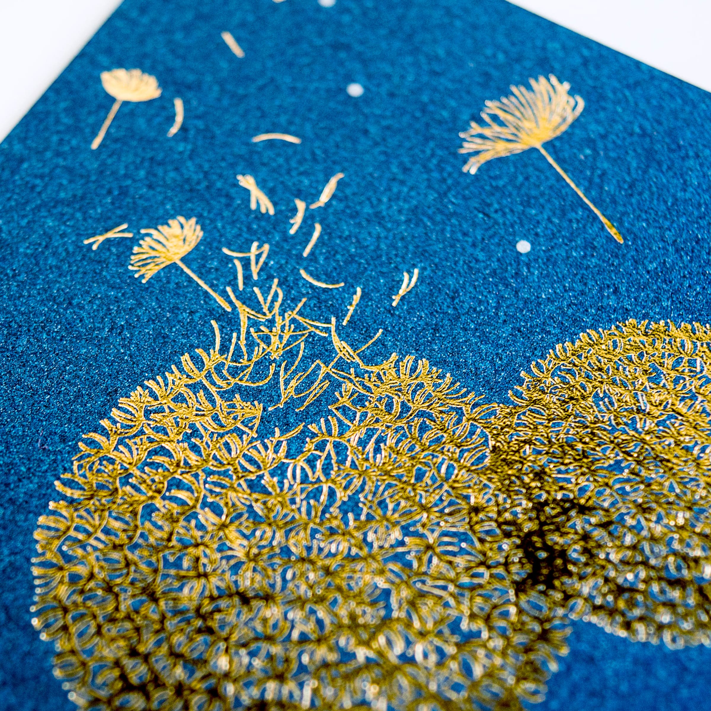 カタログのクリエイティブ