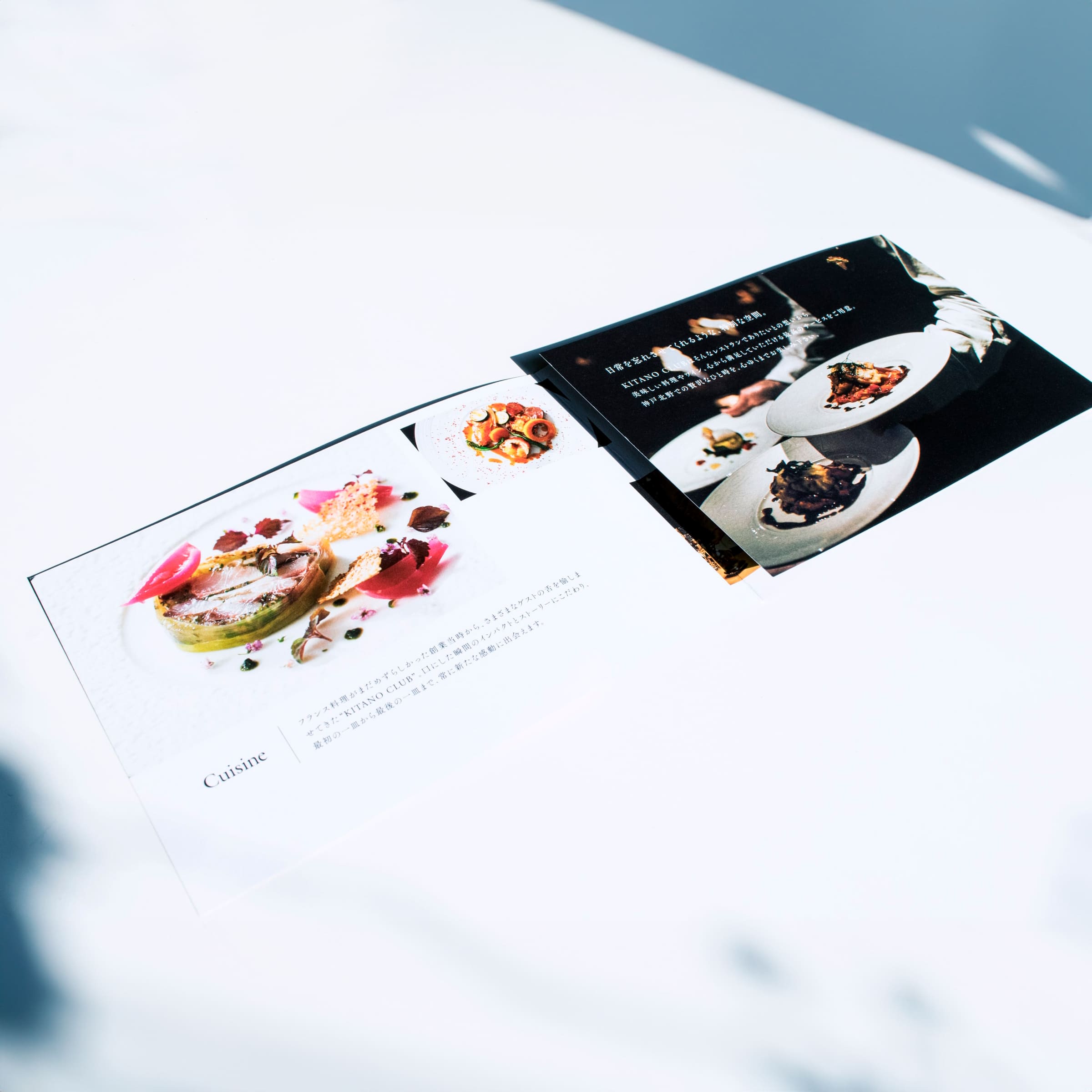 カタログのクリエイティブ