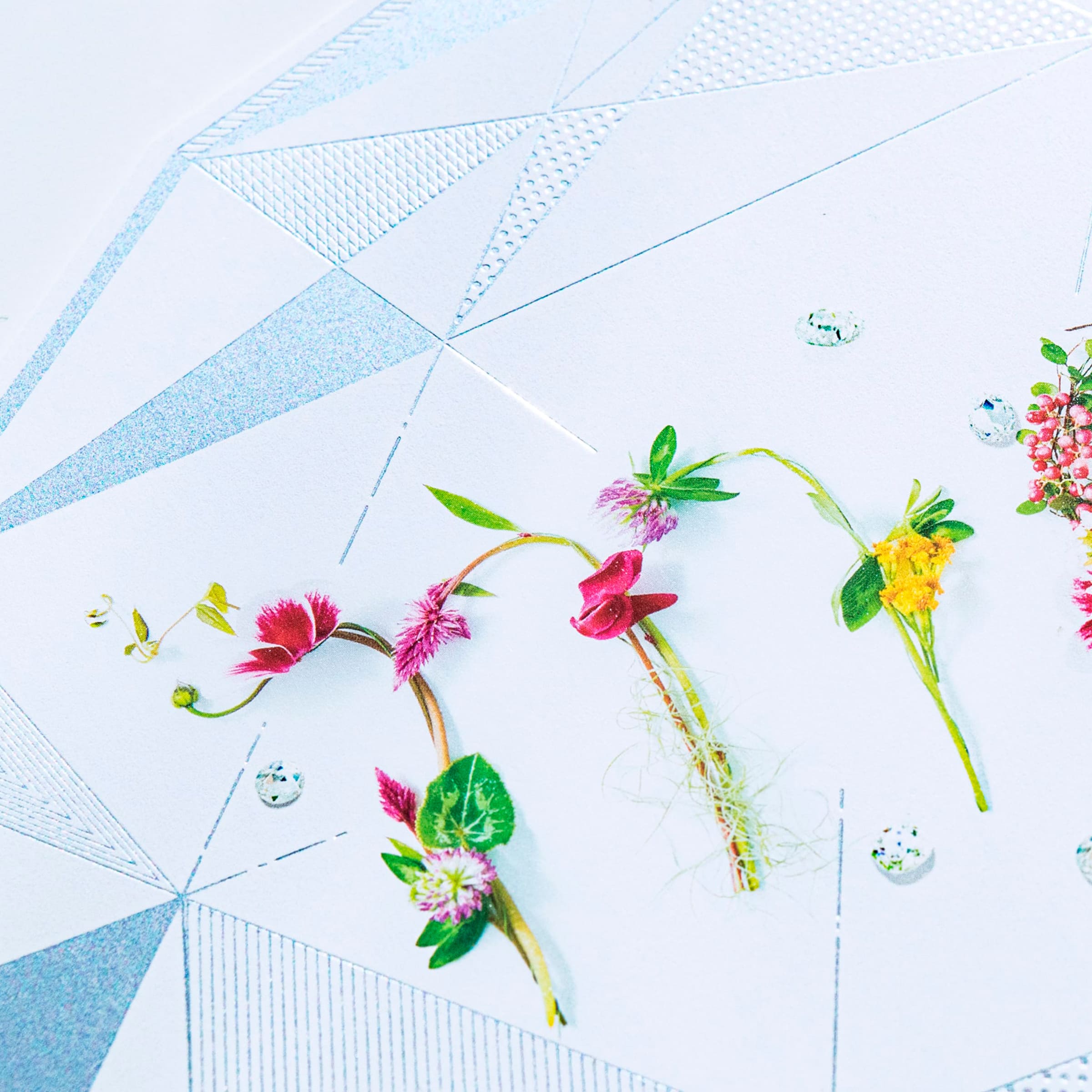 パンフレットのデザイン